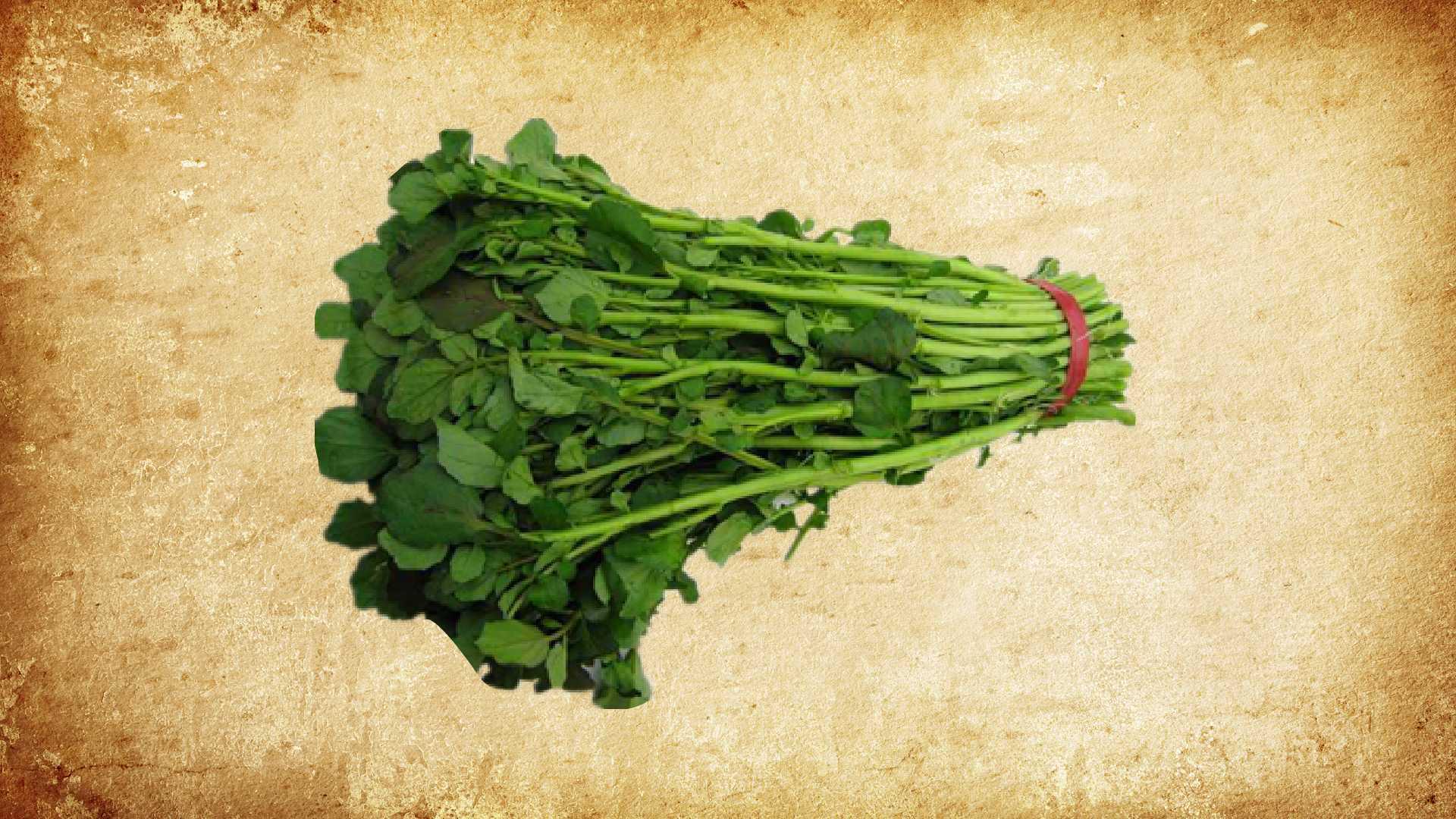 原来豆瓣菜属长这样