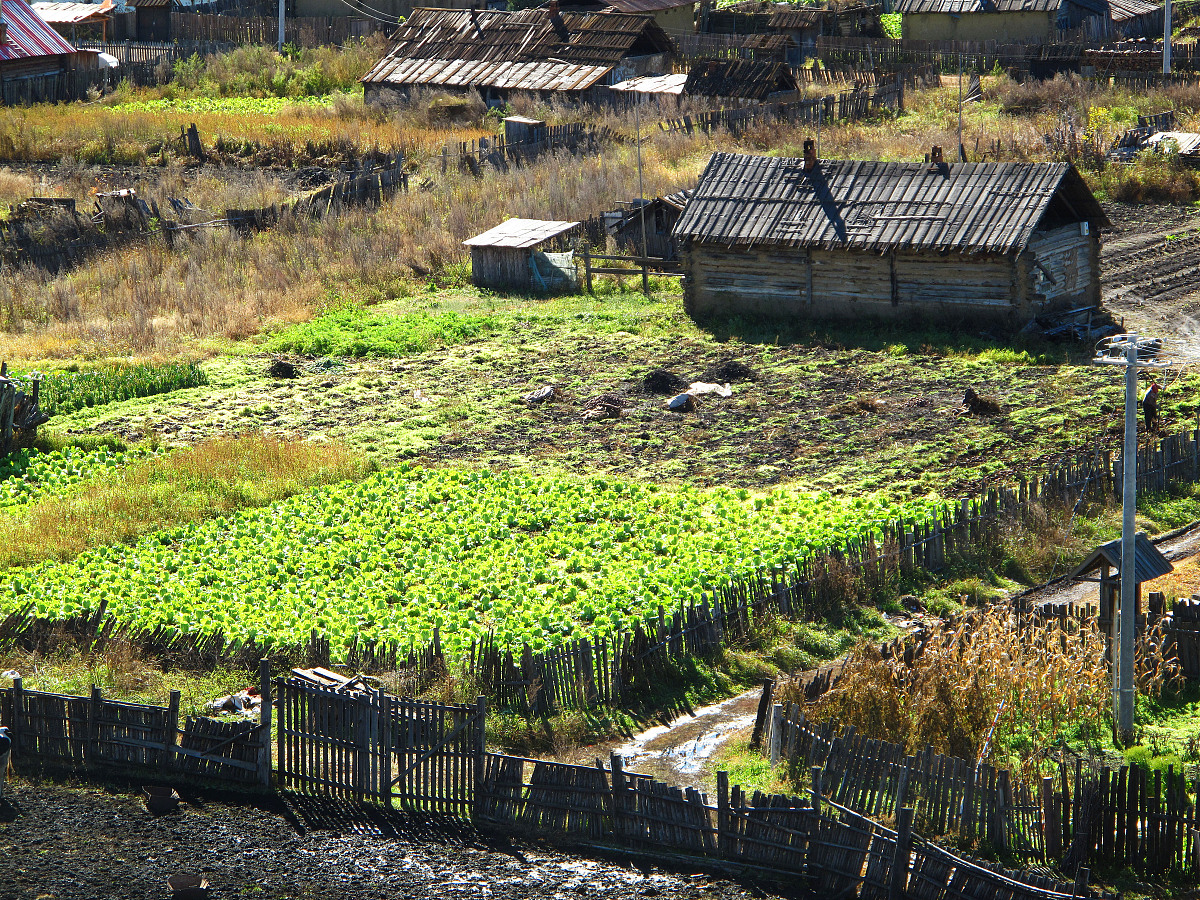 农村场所有哪些