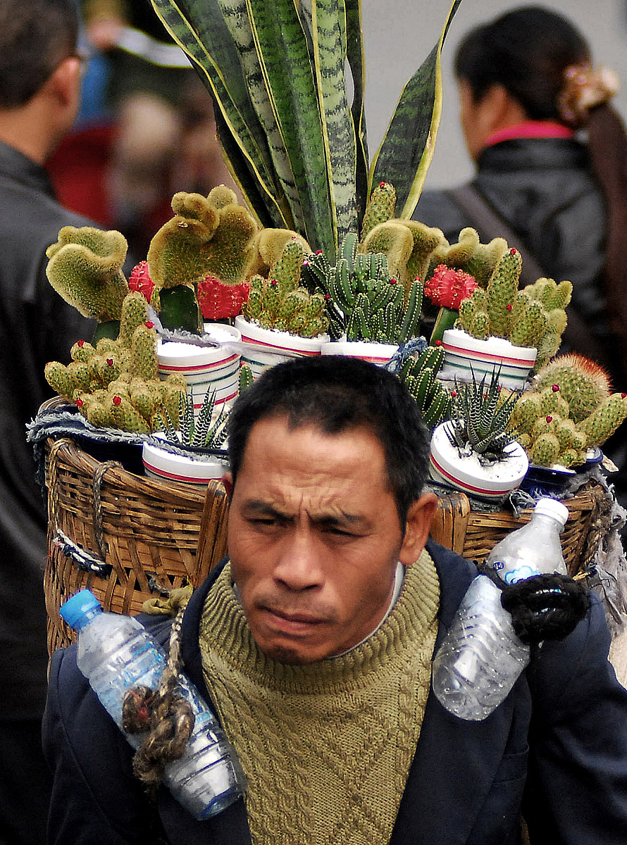 2007年 11月 9日 , 成都 , 荷花 池 综合 批发市场 , 卖 花 人 .+++_+