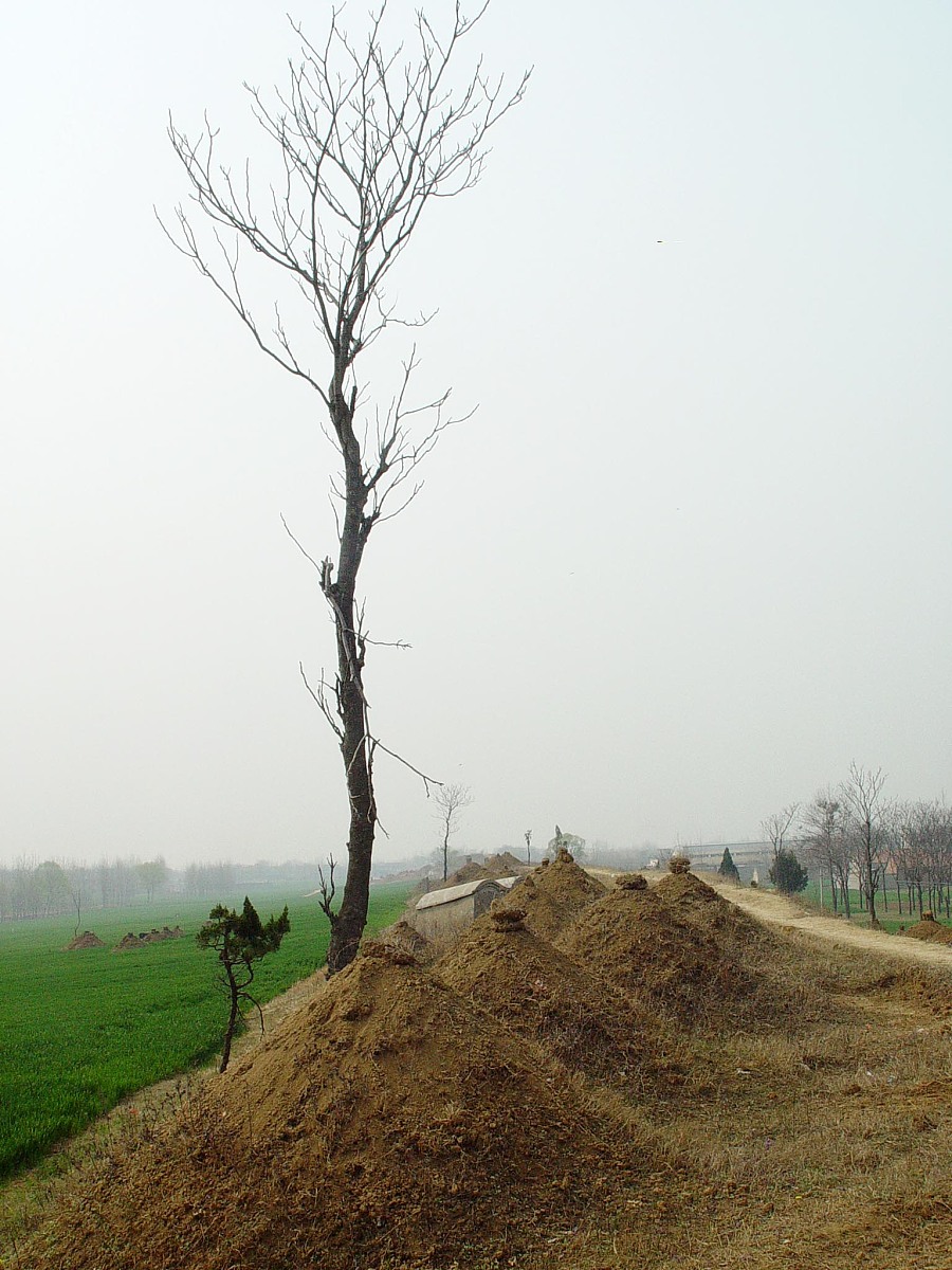 文物安全工作总结：加强保护、管理和宣传教育