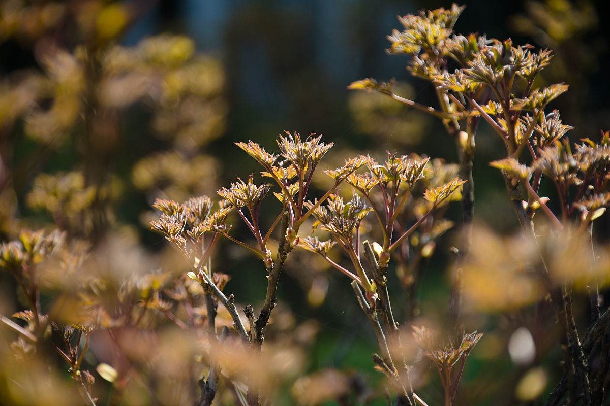 阜南农林科技学校2021年招生条件：入学要求及综合素质考察
