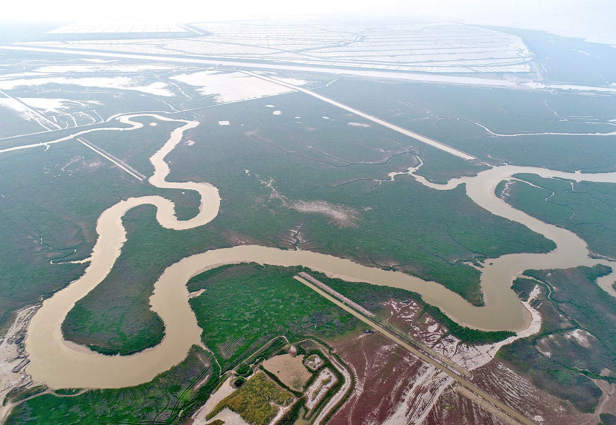 演替如何增强生态系统能力？ | 提升耐逆性、生产力、稳定性和自我修复力