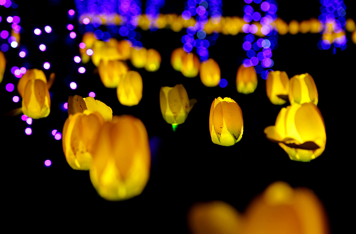 如何轻松引导灯光？ - 使用目标锁定技巧