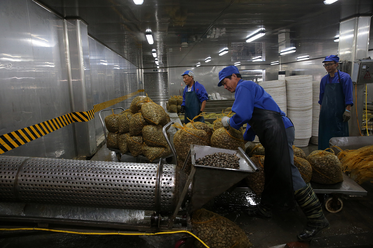 枇杷加工设备工业互联网平台环境参数区详解