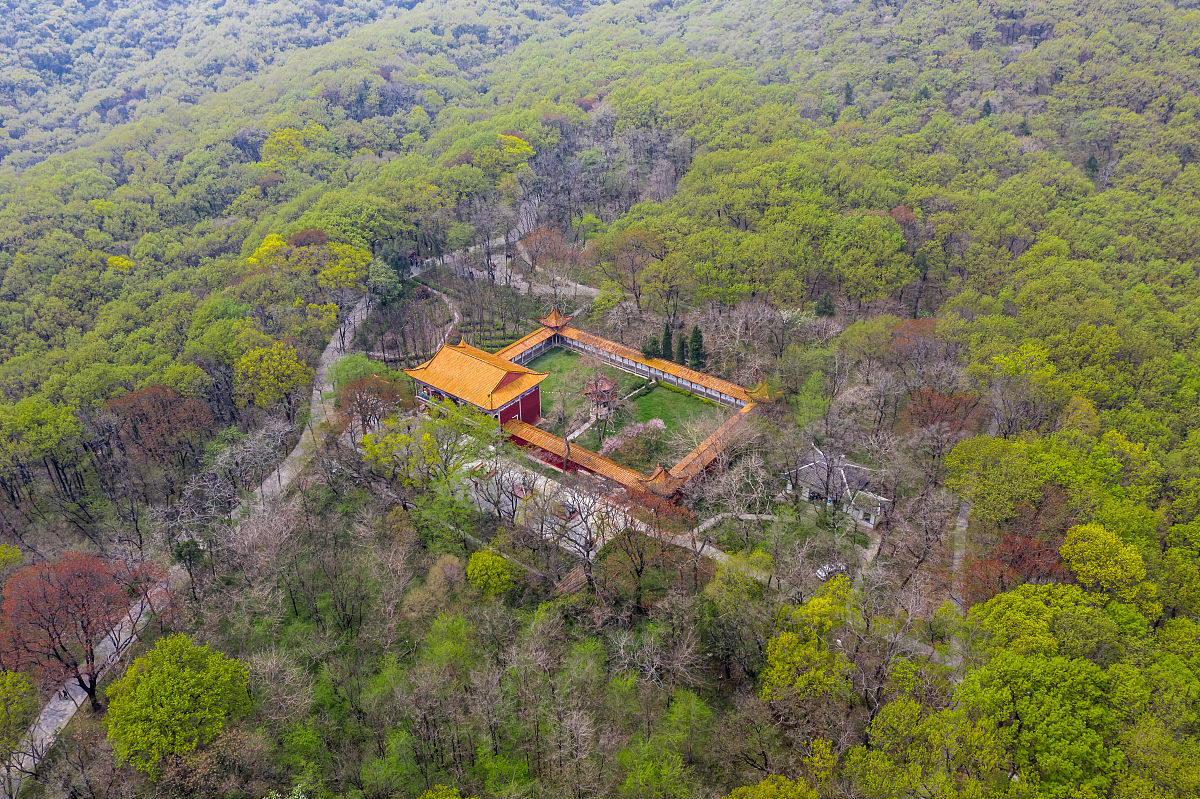 萧县皇藏峪哪家蘑菇鸡好吃回答加拓展。