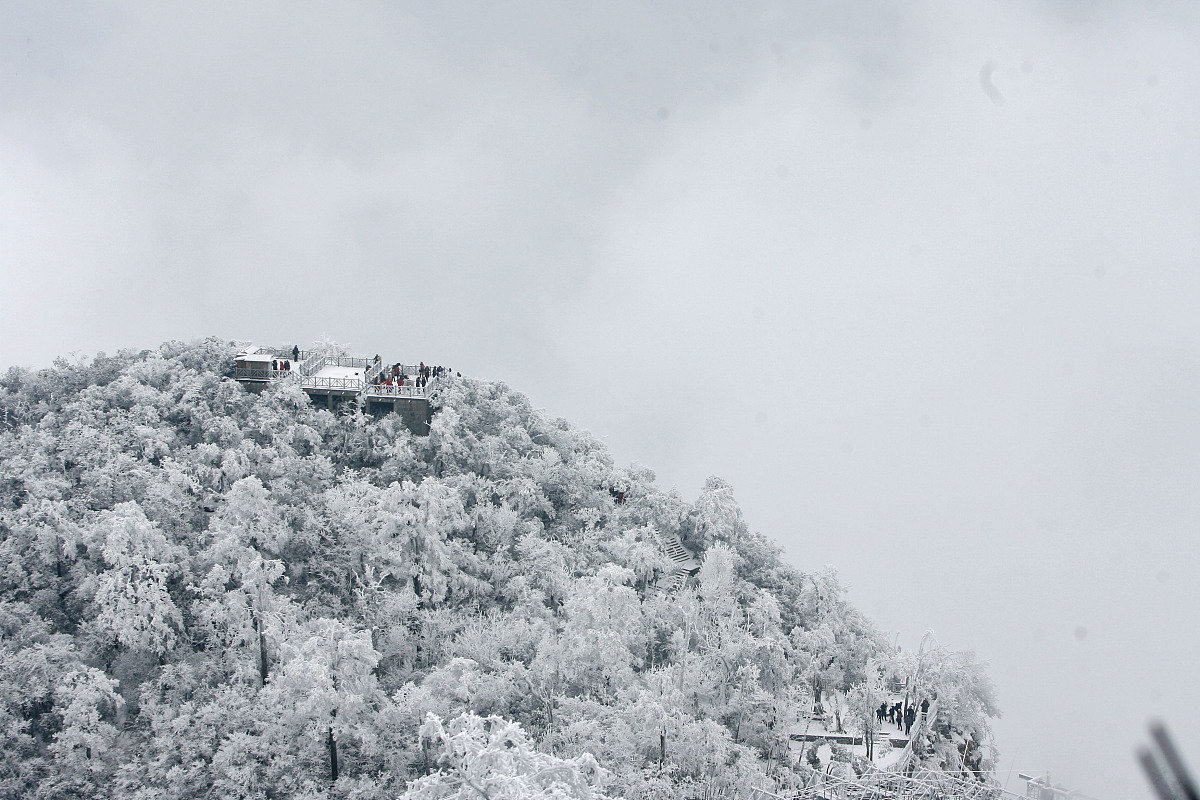 ***_***(湖北武汉媒体严禁下载)2011年1月3日,新年首场大雪过后,张家