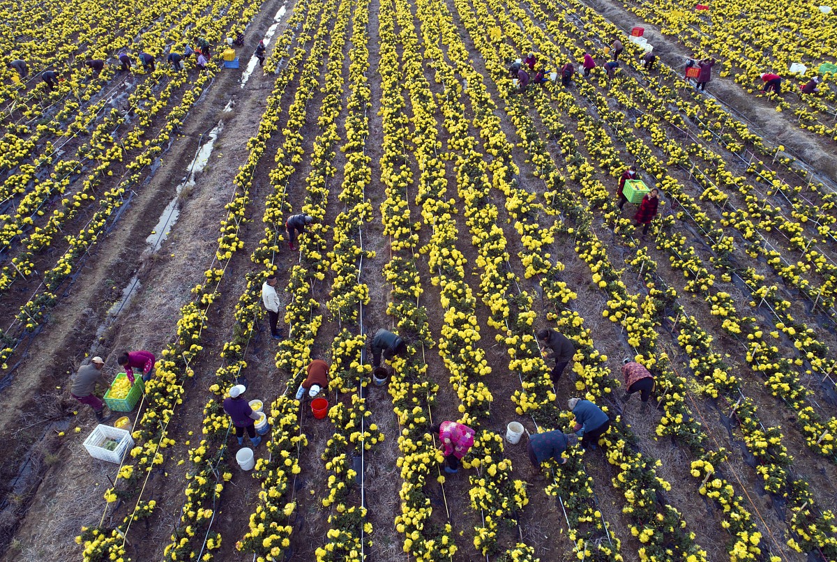 山东药材技工学校2021年多少分能报考