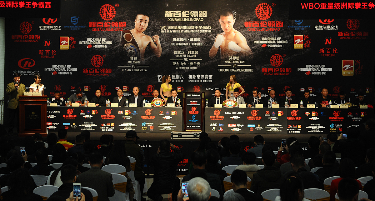 帮我找拳王的标题