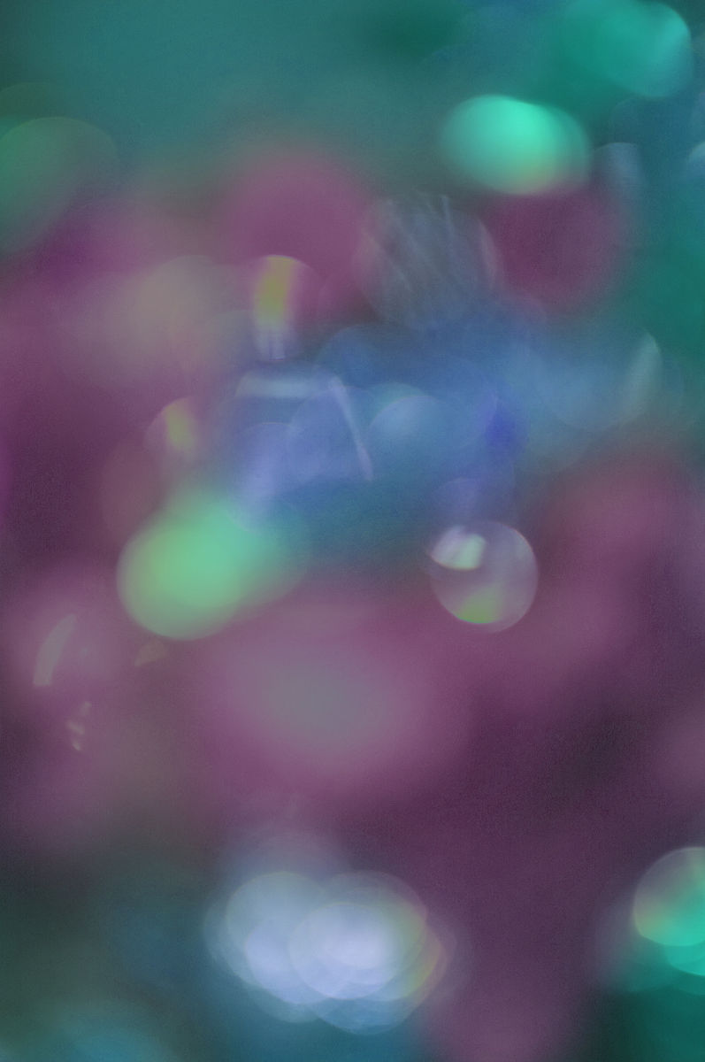 乐山市旅游学校招生办电话多少