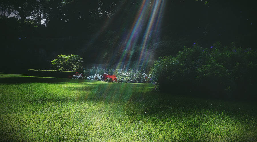 冰箱天花板开始咄咄逼人:海尔独秀海信美的激战美菱西门子衰落-家电圈官网