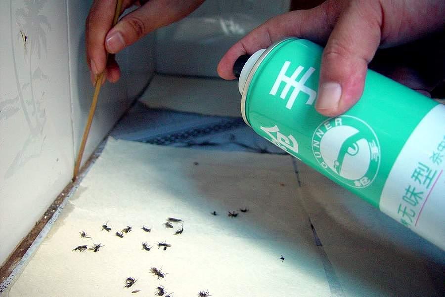 多种针对性厕所小飞虫消毒灭杀产品无效该如何处理