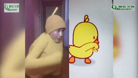 你们终究还是对小黄鸭表情包下手了,现在的网友实在是太疯狂了!