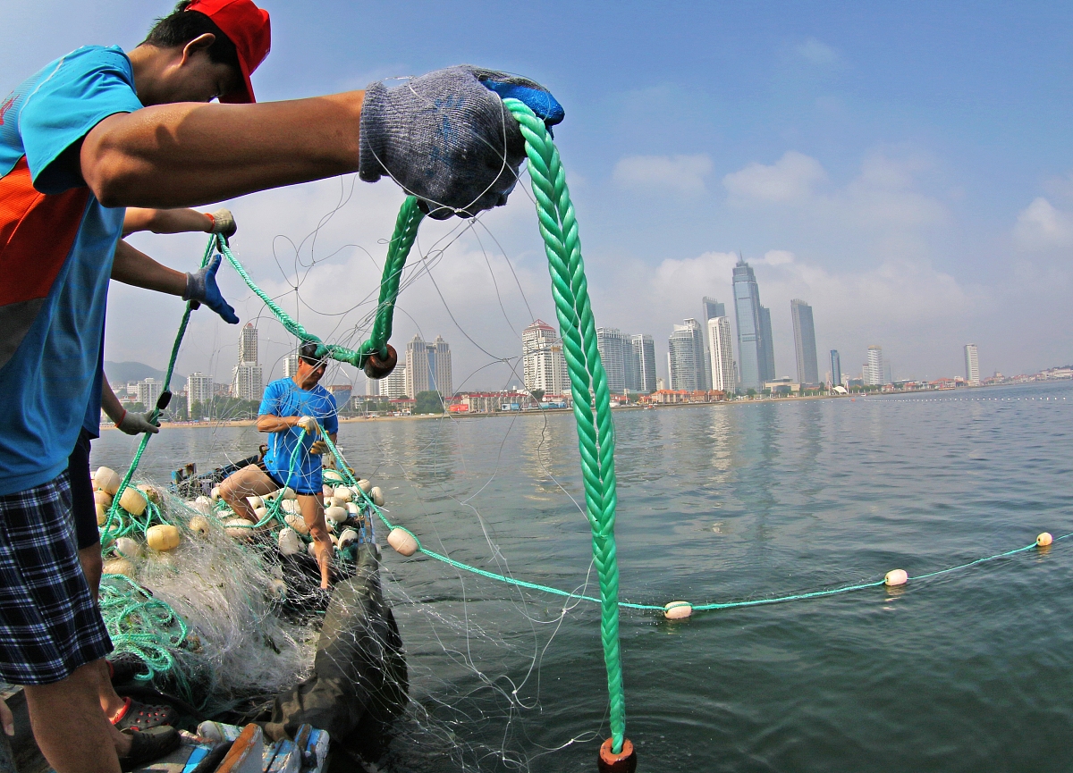 合肥城市管理学校2023年有哪些专业