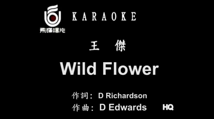 [图]王杰《Wild_Flower》怀旧英文歌MV