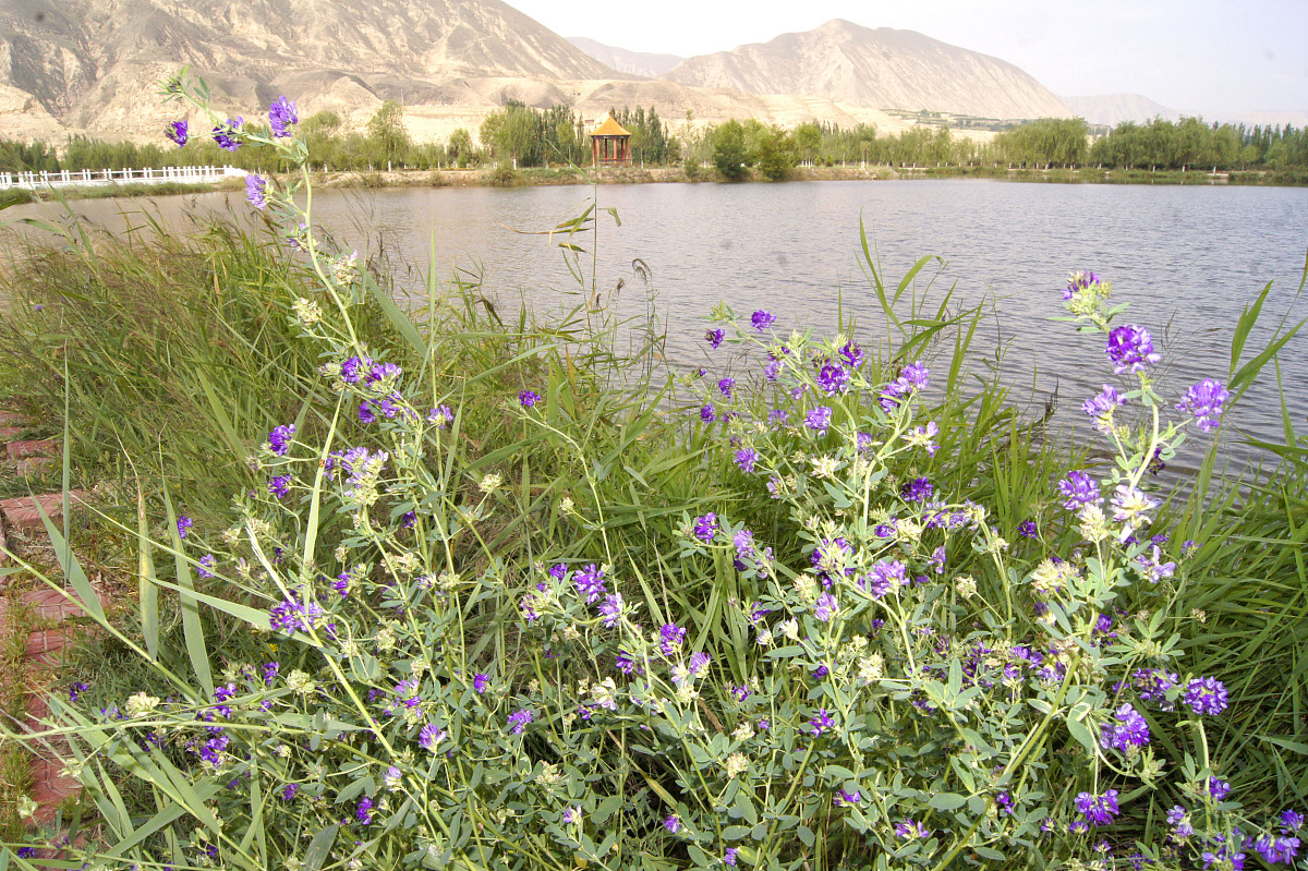 临夏州民族学校2023招生要求有哪些