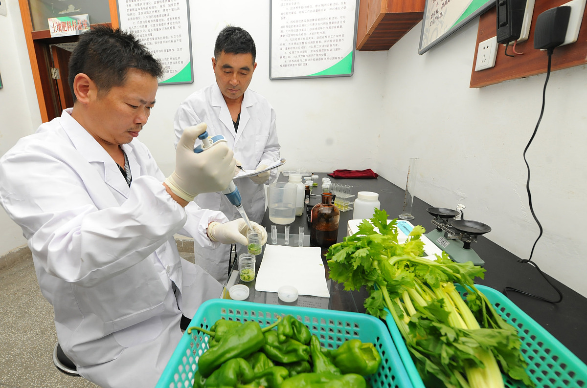 农产品质量标准与检测课程：推动农业产业升级、保障食品安全、守护环境