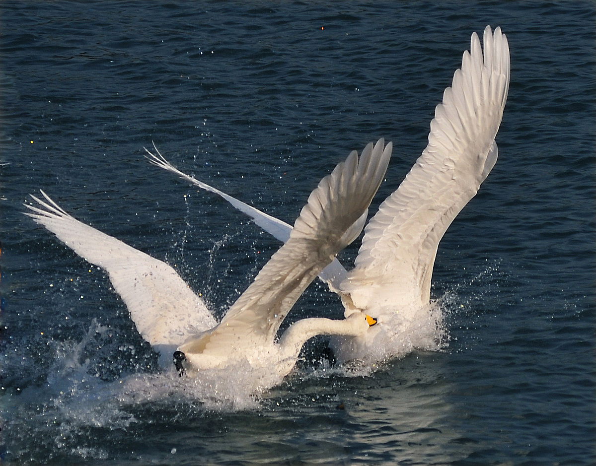 威海海洋职业学院药品经营与管理专业好就业吗