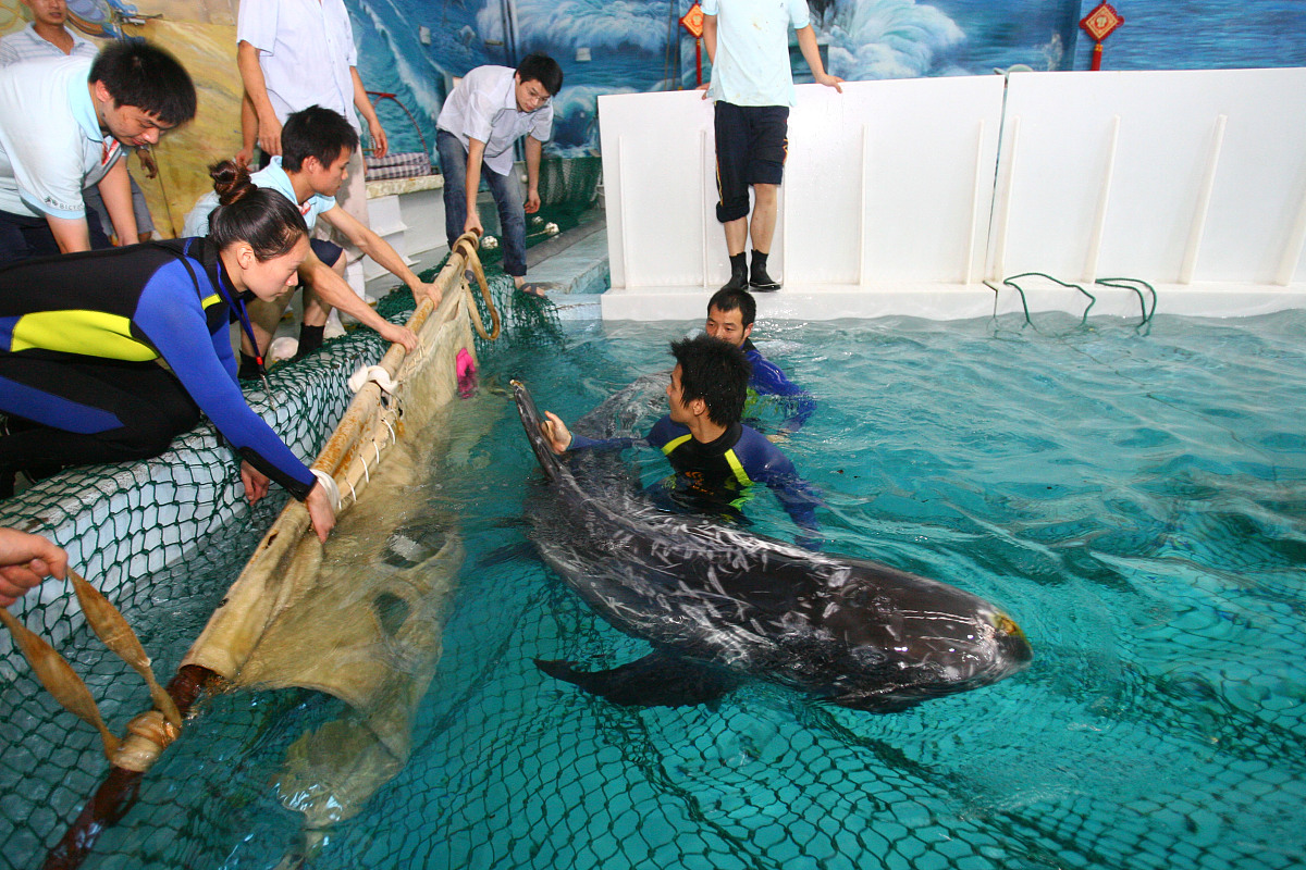 (宁波,杭州平面媒体7月29日8时前请不要下载)2011年7月28日,浙江宁波