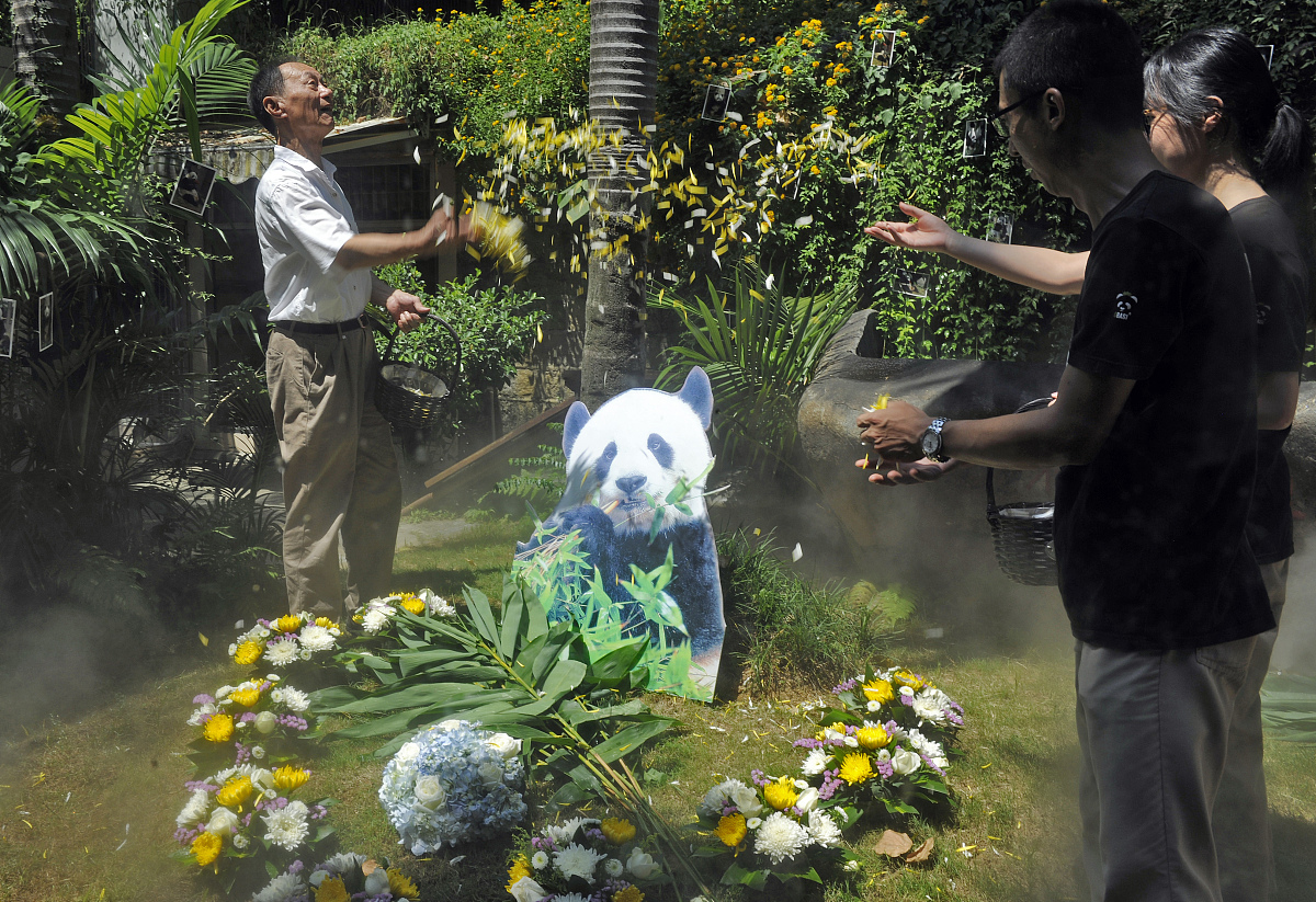 上潮新闻天天抽奖！亚运吉祥物等你带回家！
