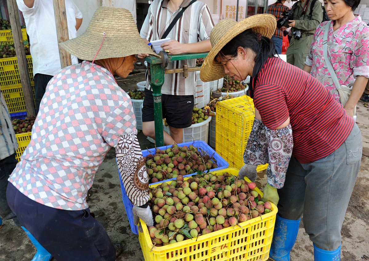 收购荔枝往外地销售的公司概述