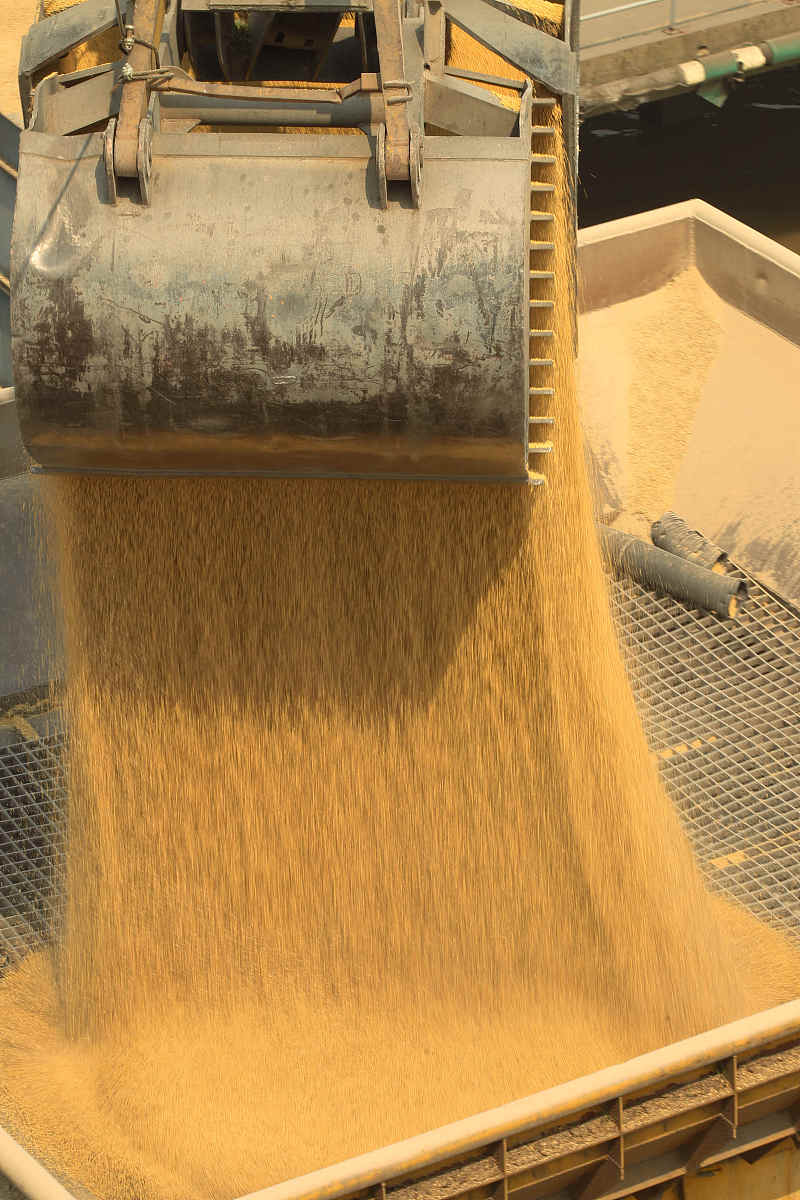 德州职业技术学院粮食工程技术专业就业前景分析