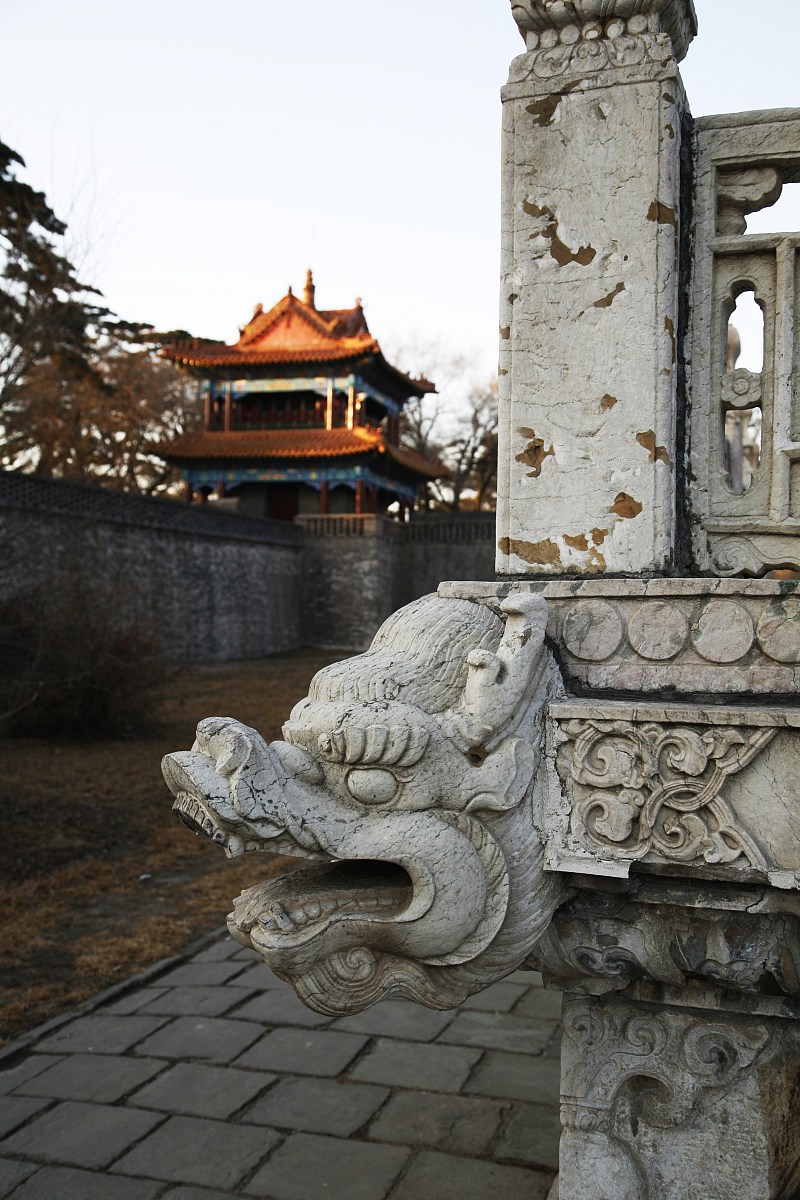 历史感学习小组名称推荐 - '智慧的遗产'