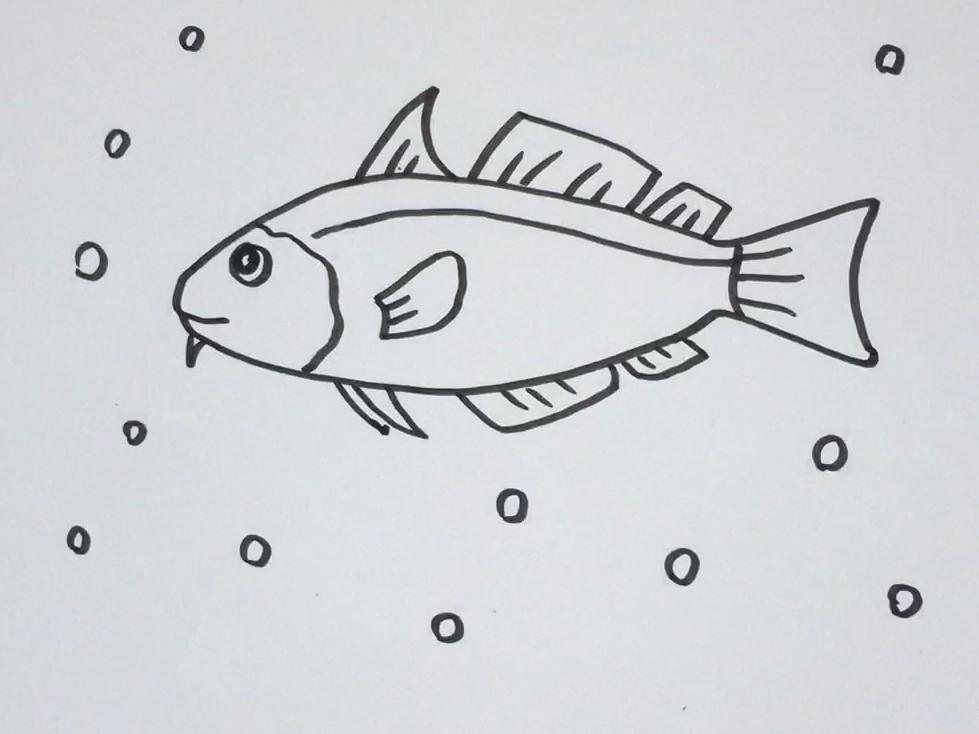 简笔画鳕鱼 简单好学