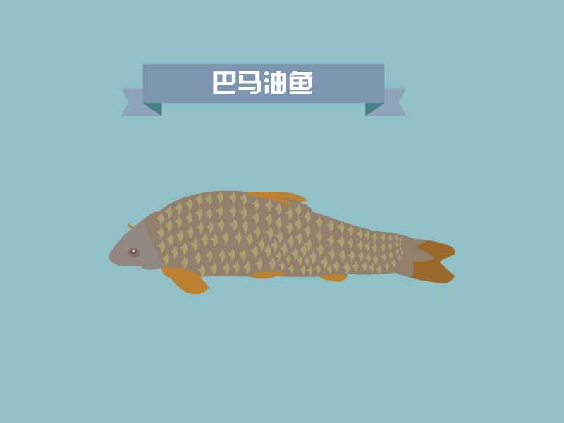 巴马油鱼:产于中国广西巴马的盘阳河