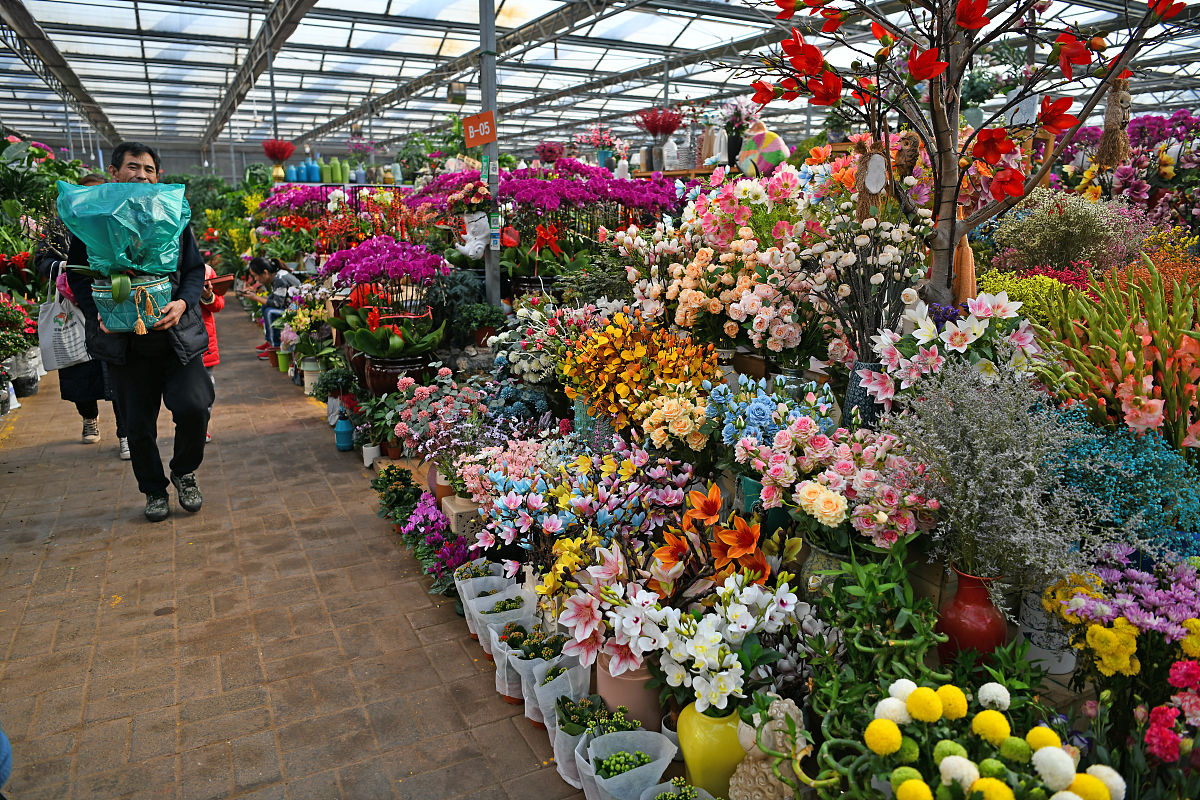 花卉展示、培育、销售介绍