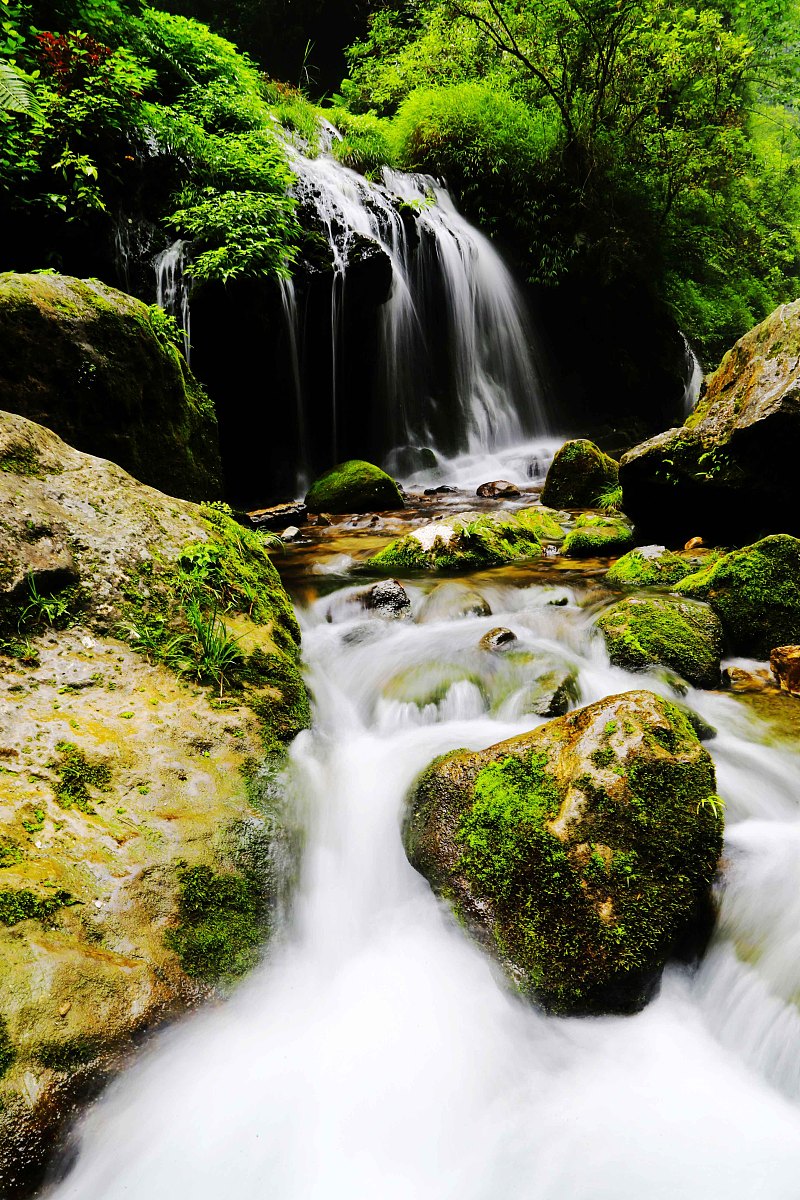 三峡旅游职业技术师范学院2022年幼师专业学校招生简章