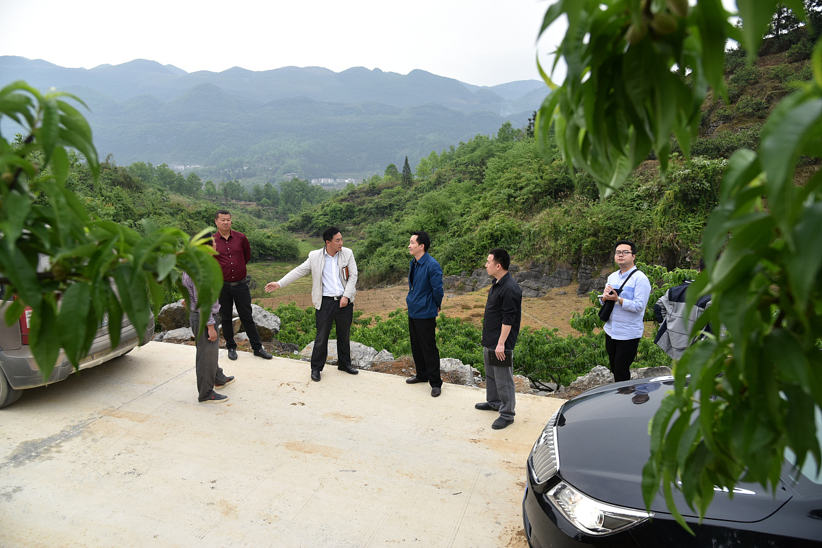 党旗耀边疆，产业赋振兴 - 大新县硕龙镇门村调研考察活动