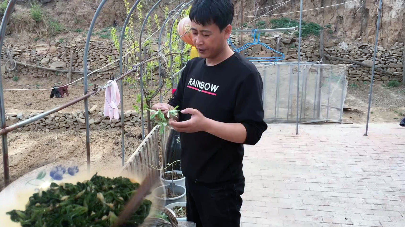 凉拌刺菜你肯定没吃过,味道鲜美营养又健康,而且还很下饭