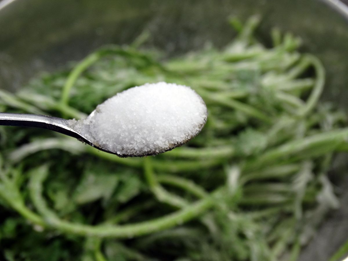 图为荞麦粉蒸茼蒿的制作过程 将3克精盐均匀的撒在茼蒿上.