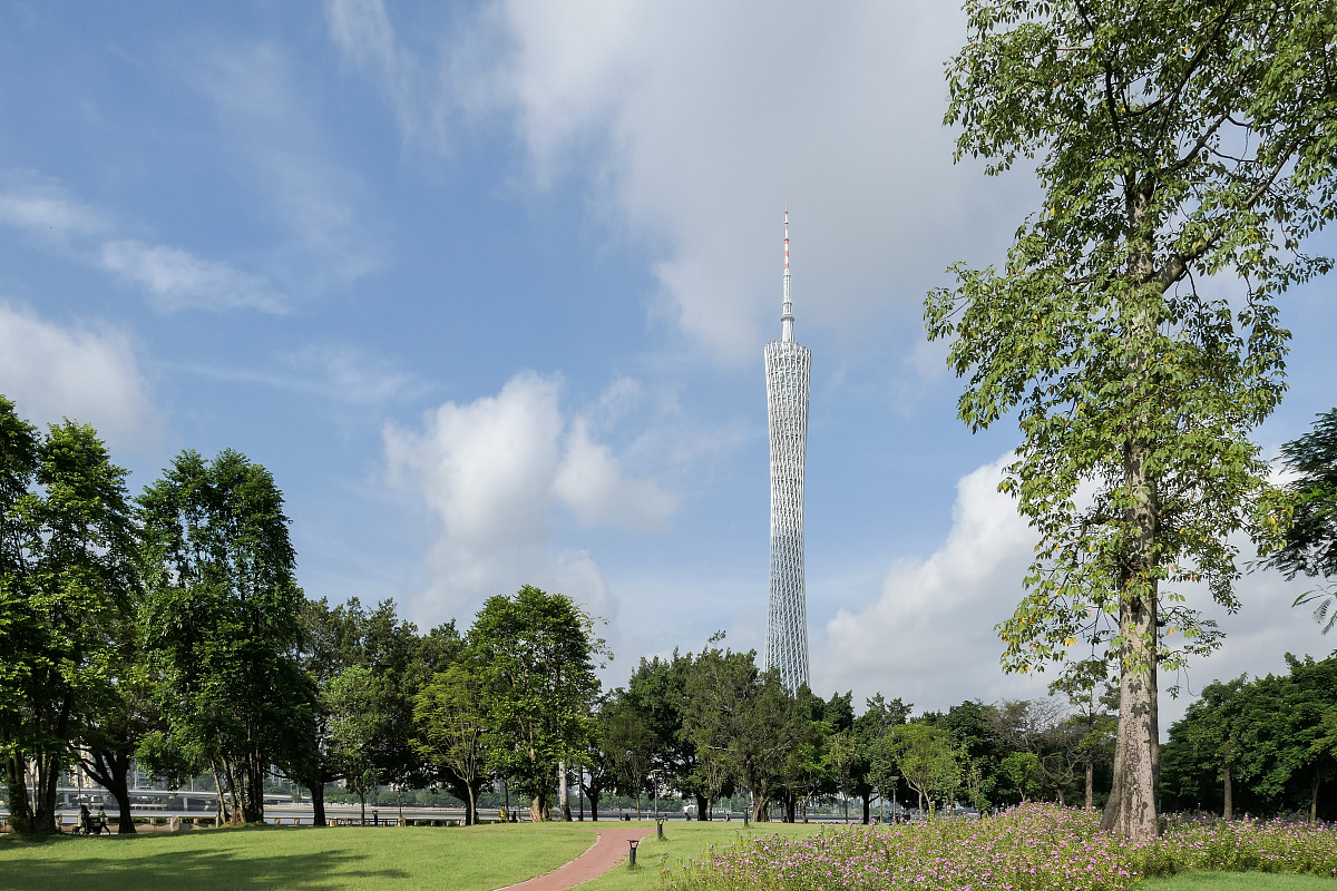 柏塘镇镇域承载力优化提升，各项事业蓬勃发展