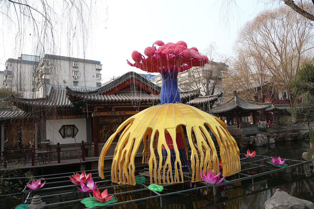 2019年1月12日,在济南趵突泉景区内,为迎接新春而布置的花灯已初显效