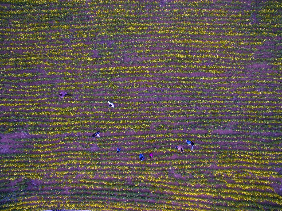 山东交通学院参与项目优势：专业、人才、设备、地理位置