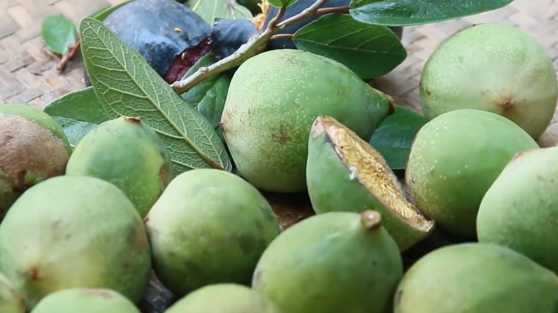 鬼馒头,农村常见,看着十分的普通,实际营养价值极大