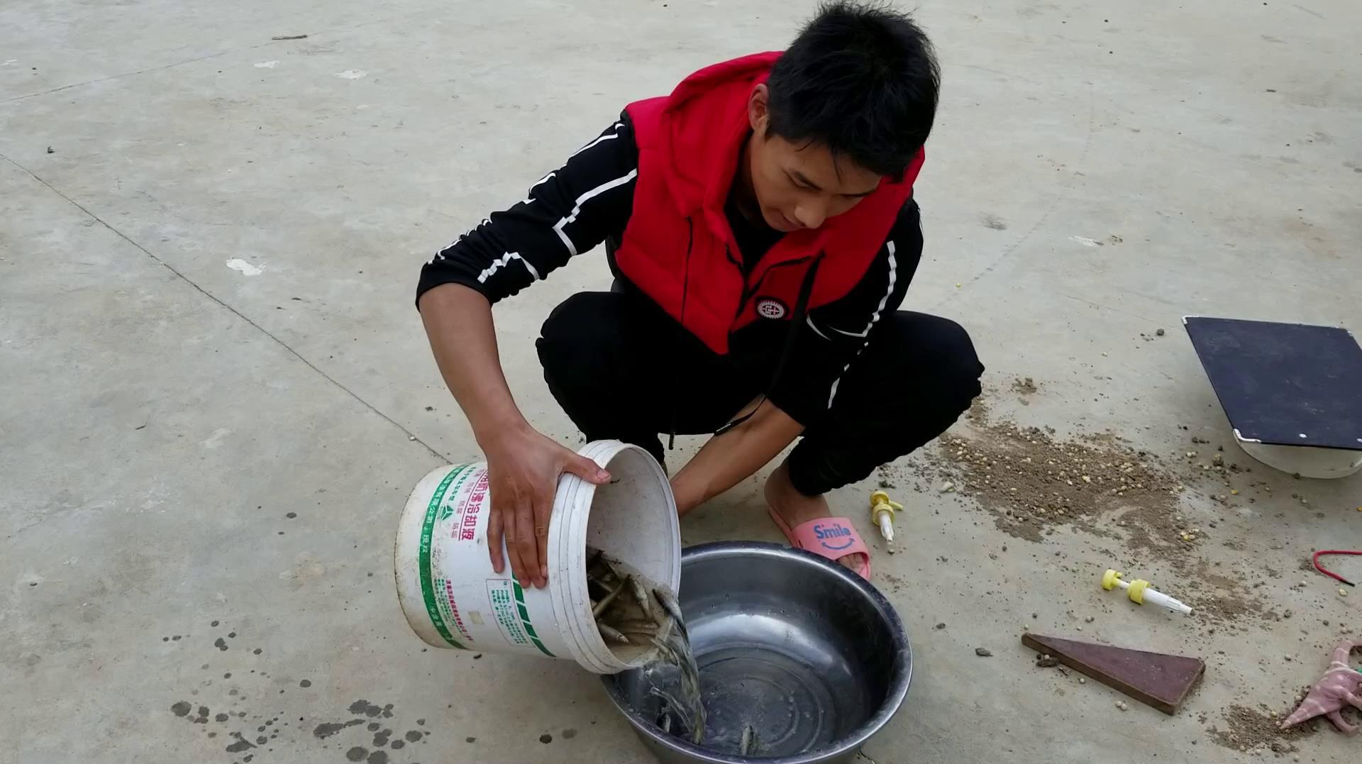 小哥在河溪捕到这些泥鳅,鱼,加点盐油炸好吃!