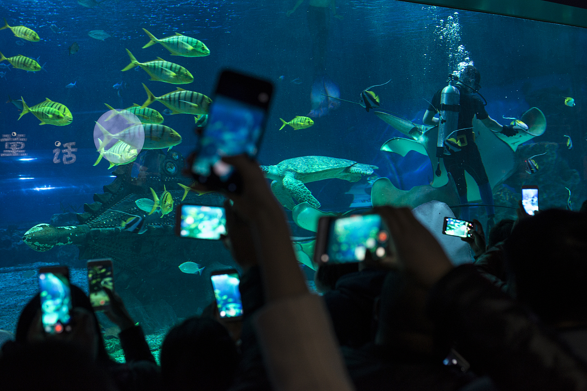 大连海洋学校2022年哪些专业是重点？