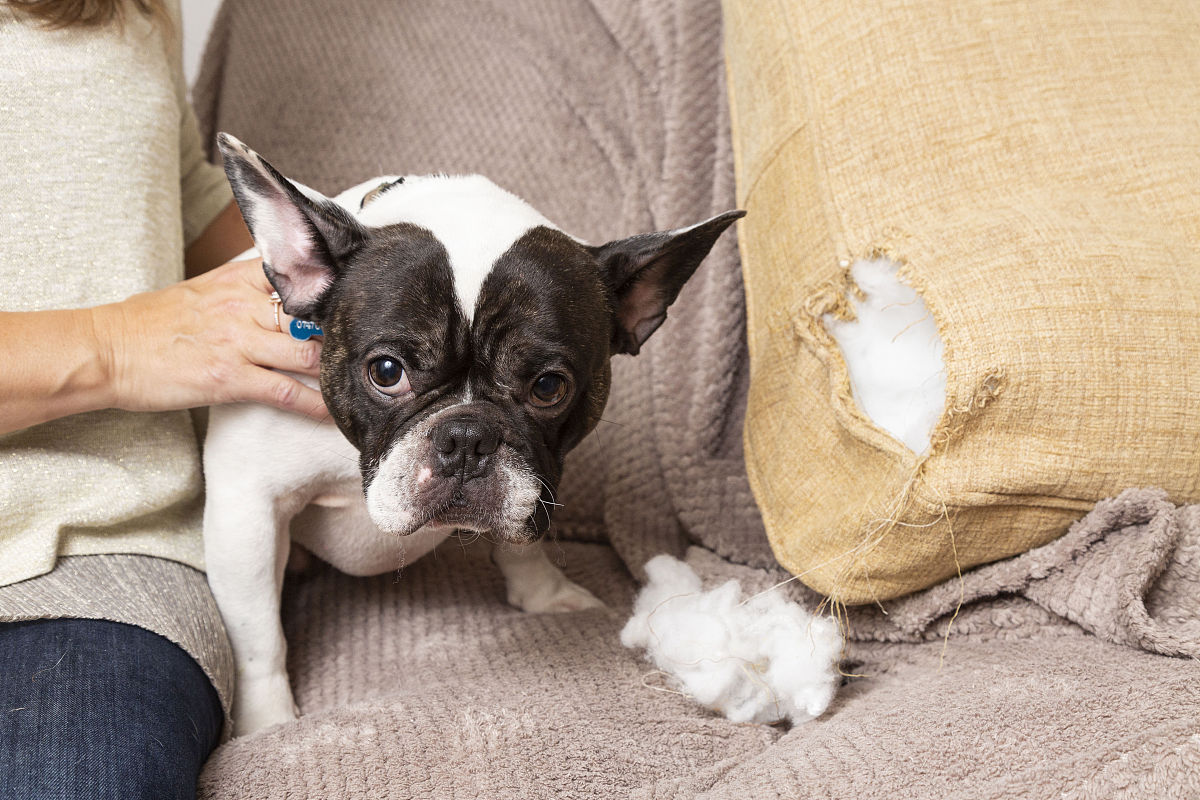 牛奶变质了？用 'as if' 句型表达