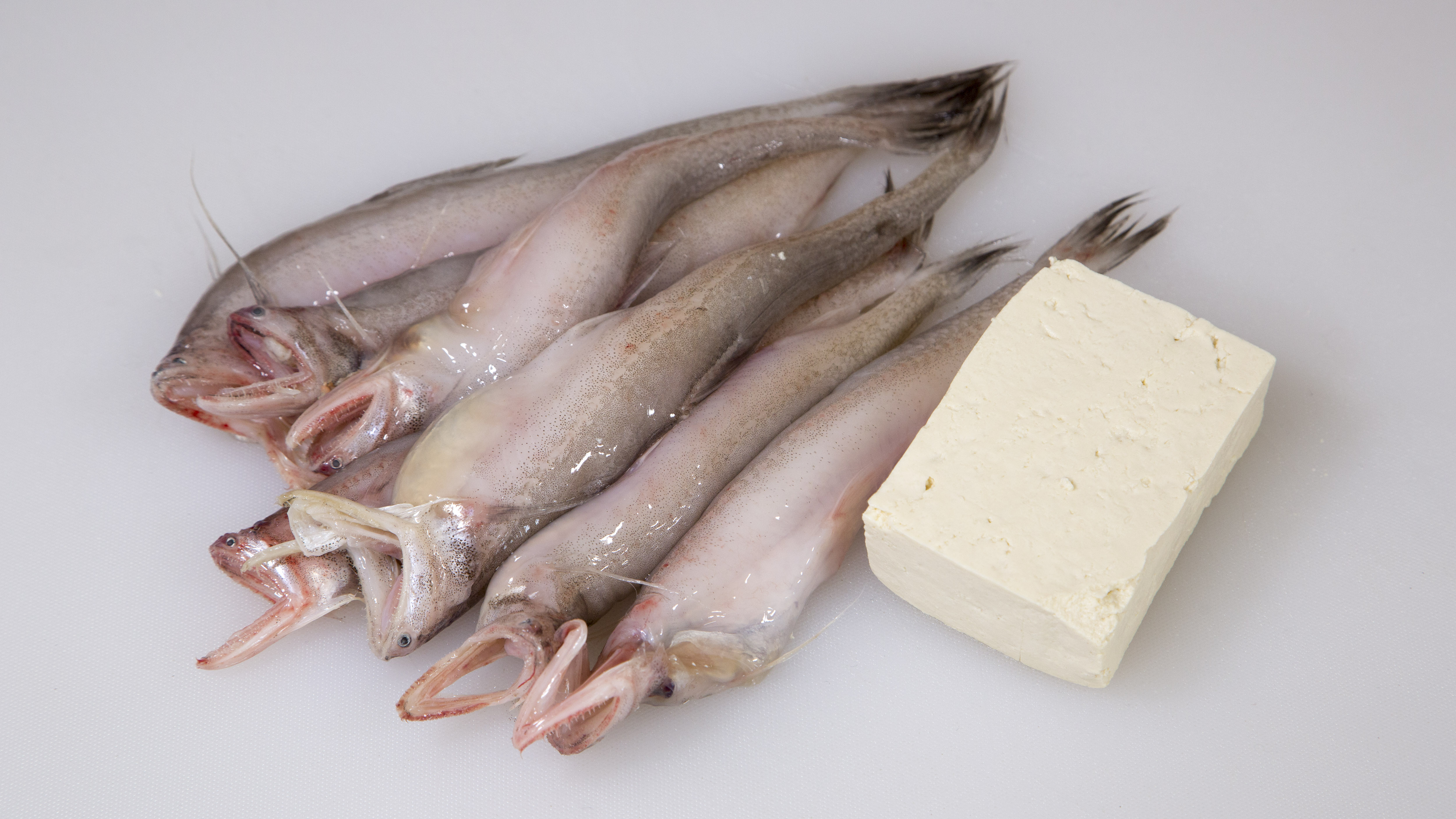 虾潺豆腐煲海鲜里的家常菜,看着丰富做起来简单,暖融融的一锅