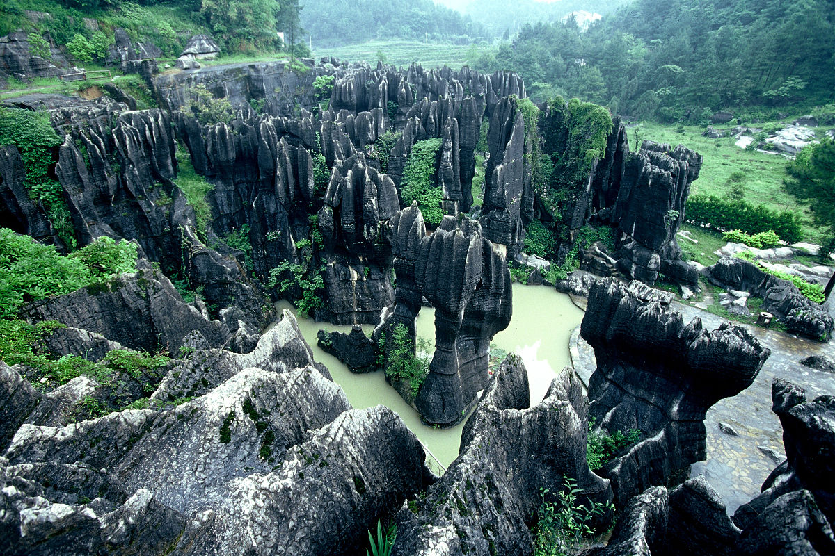 厦门2023新中考女生历史生物地理学什么专业好