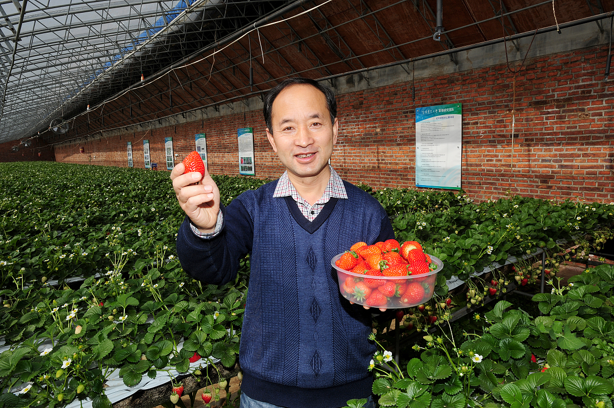 穿越历史的简短旅程 - 库尔特·A·罗森特雷特