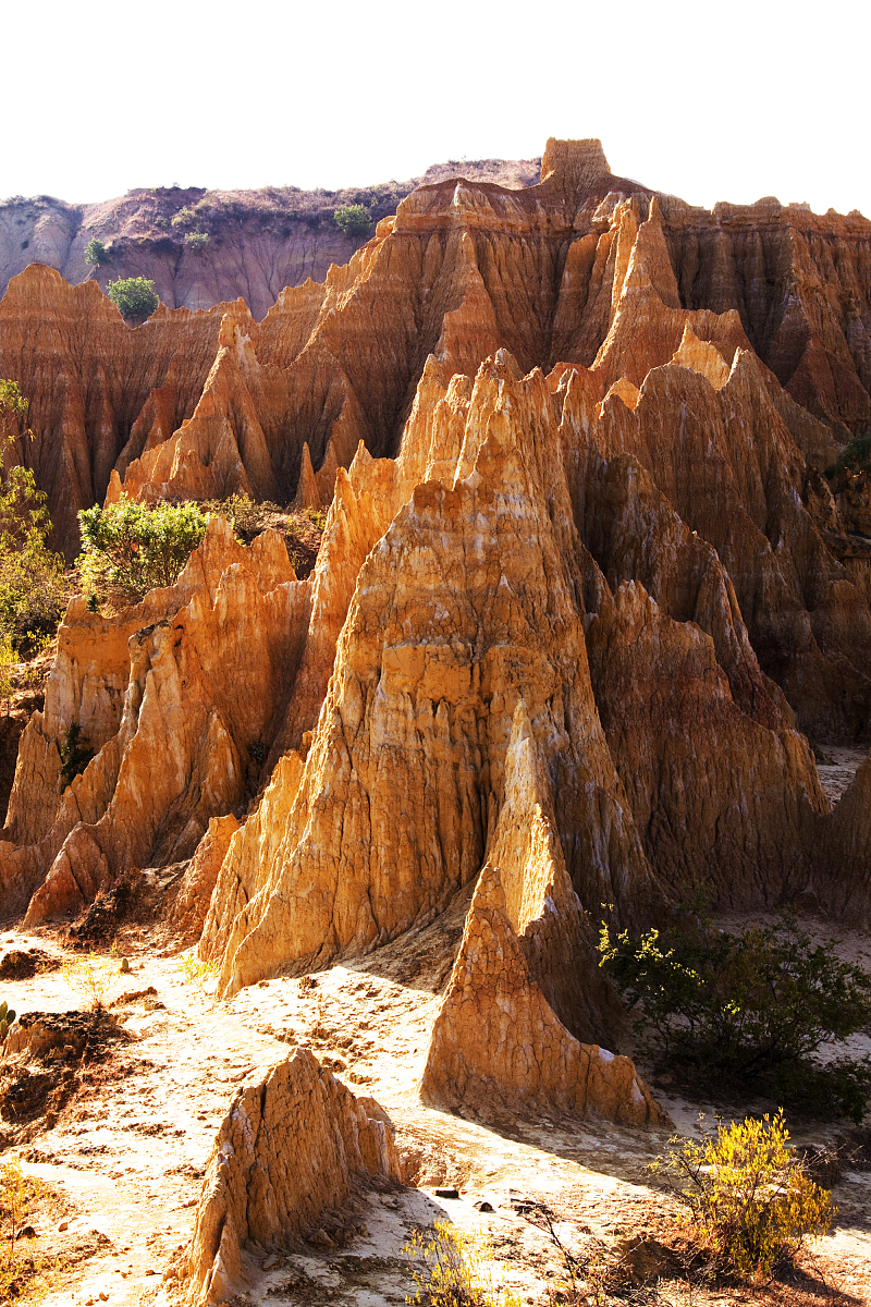 楚雄州工业学校建筑装饰专业课程怎么样