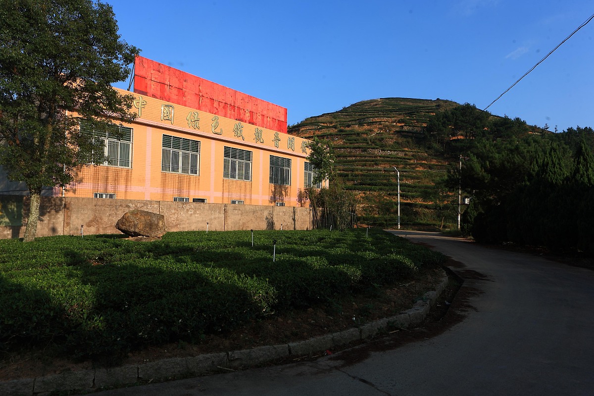***_***2013年10月12日,上海,福建传统乌龙茶制作方法