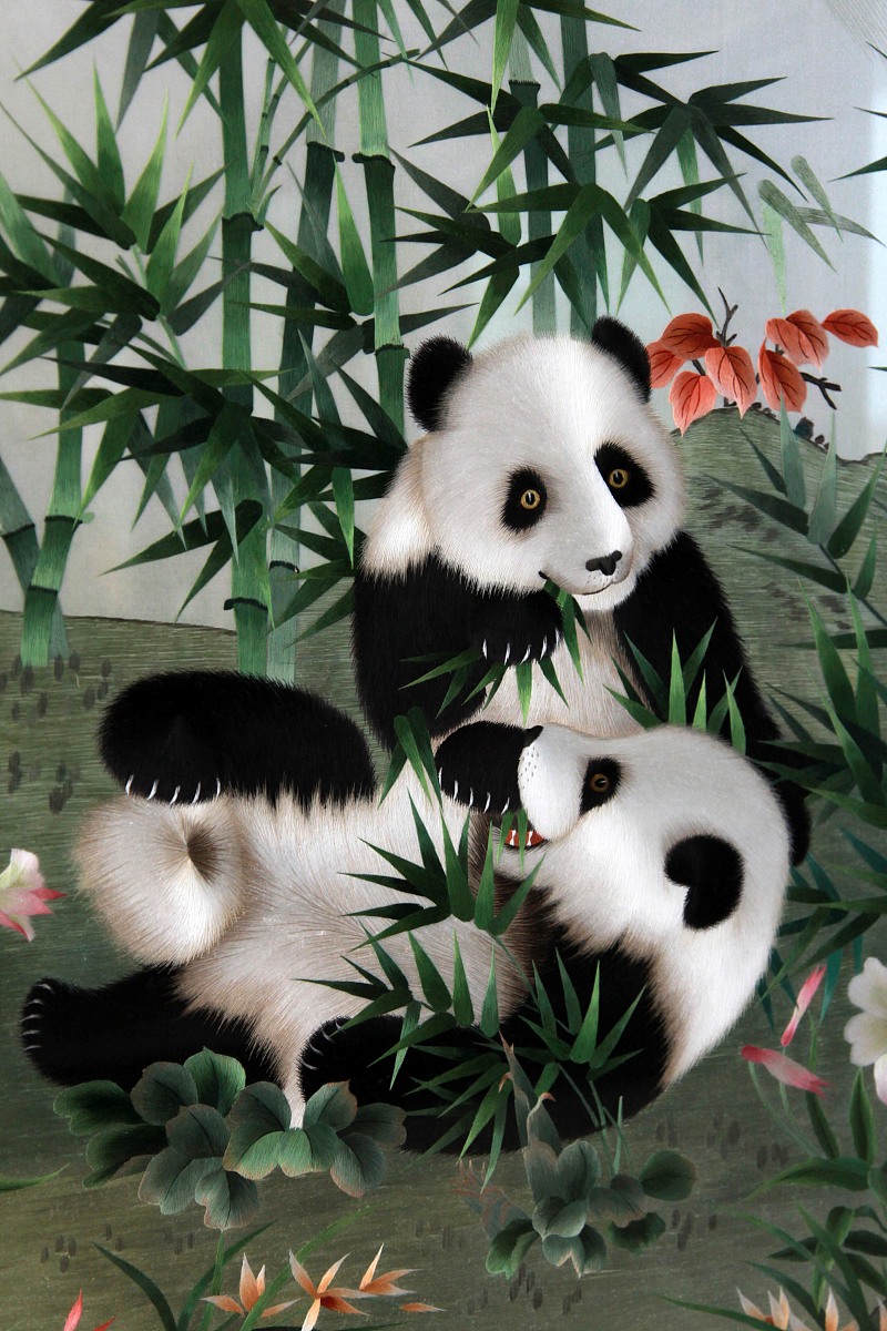 成都学前教育学生要学哪些课程？课程解读