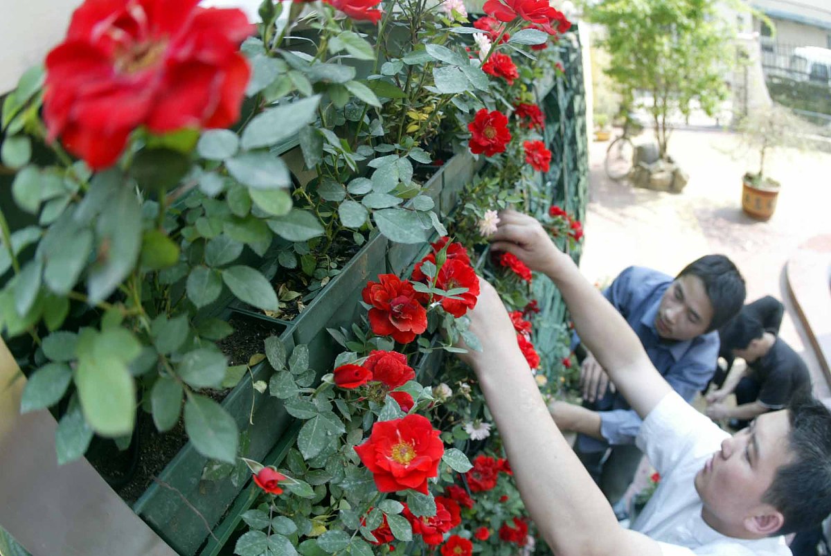 2006年5月14日下午,在北京朝阳区居民孙宝童,孙佳杰父子家中见到已申