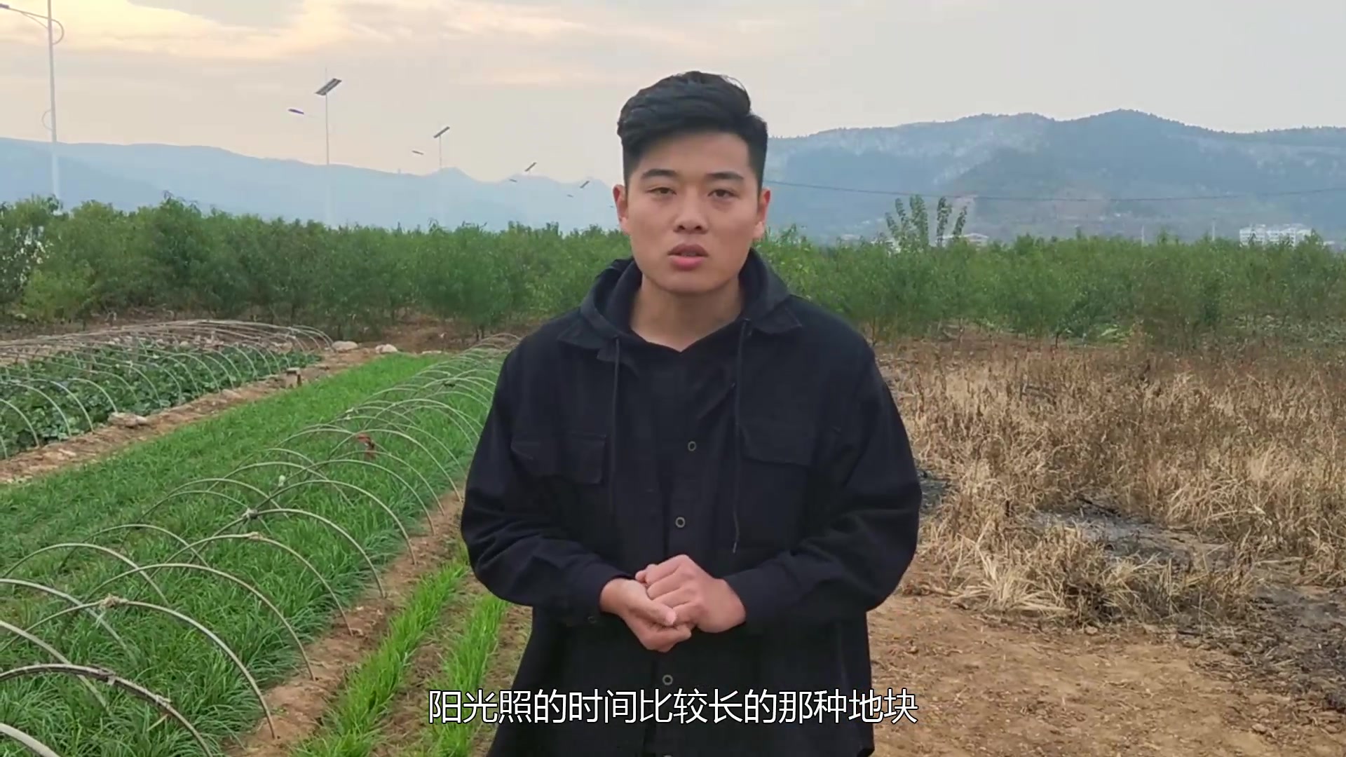 小帅哥来到韭菜地,为我们讲解它的生长过程和药用价值