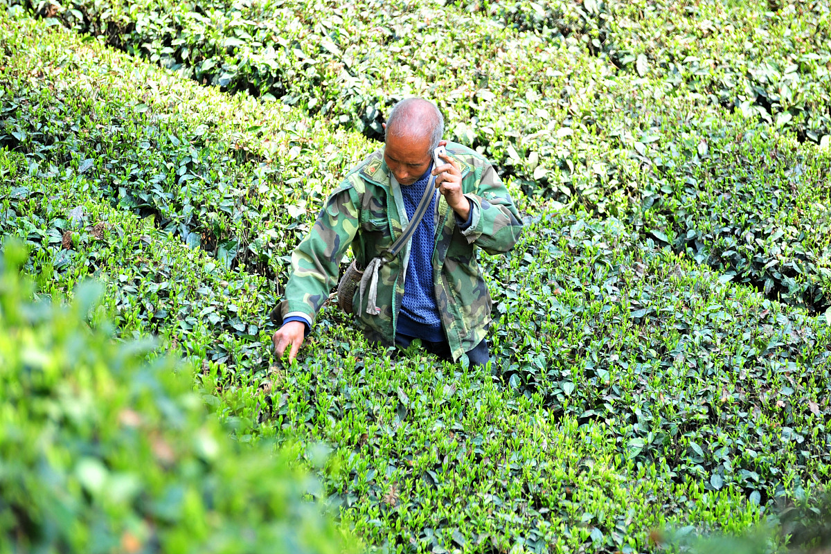 写一首田园诗歌七言绝句