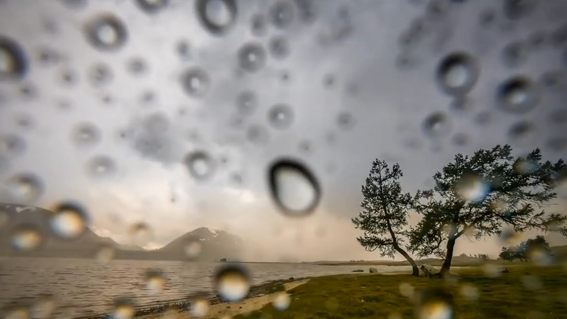 拉肚子、失眠、皮肤差都是“湿毒”引起,3个食疗方祛湿气